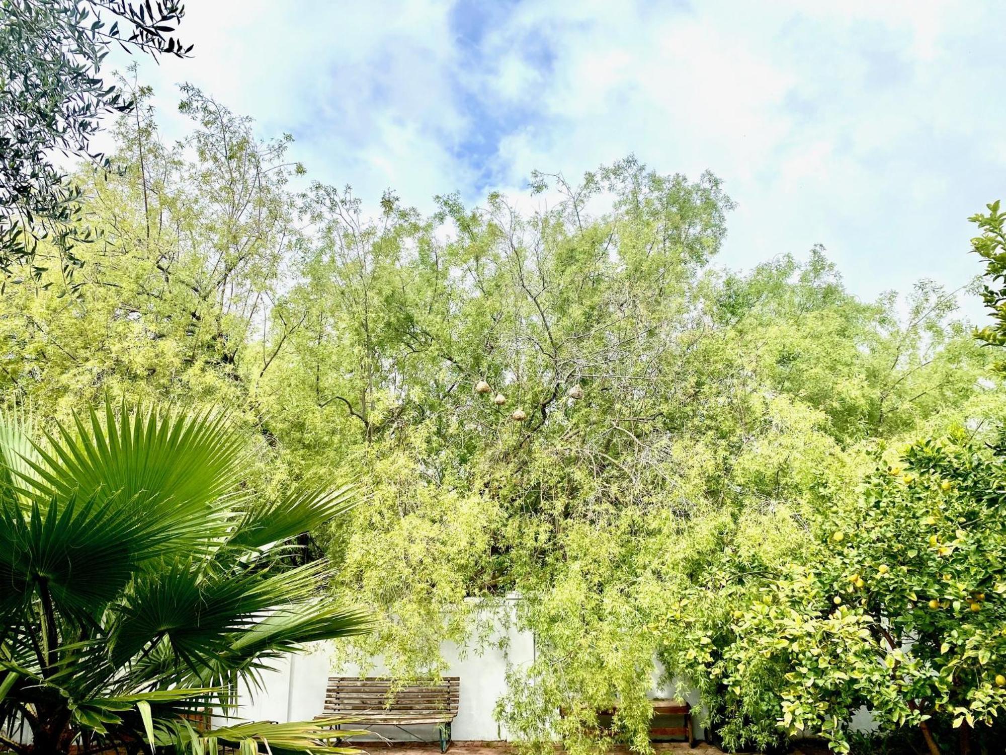 1 Royal Street Guesthouse Riebeek-Kasteel Exterior foto