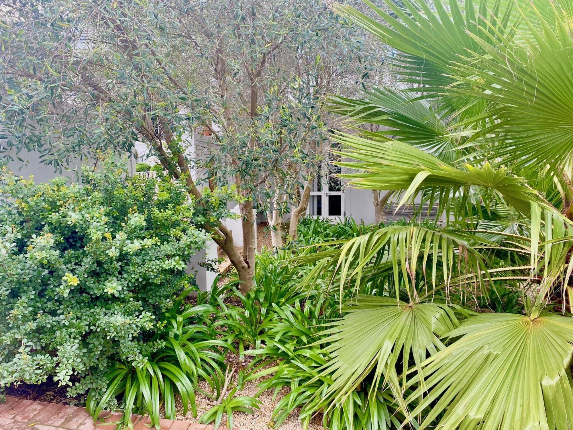 1 Royal Street Guesthouse Riebeek-Kasteel Exterior foto